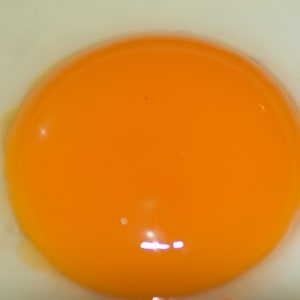May include: A close-up of a fried egg with a bright orange yolk. The egg white is cooked and slightly translucent.