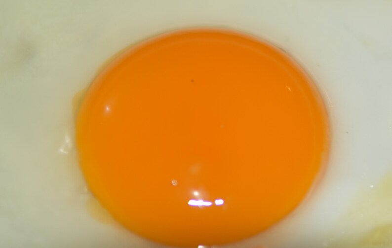 May include: A close-up of a fried egg with a bright orange yolk. The egg white is cooked and slightly translucent.