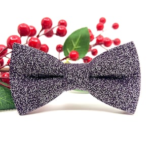Pflaume und Silber Glitter Fliegen für Hochzeiten Bräutigam und Ringträger Perfekt für Männer, Baby, Jungen und Kinder