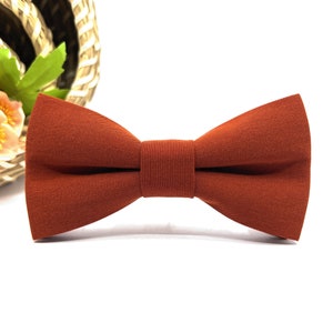 Burnt Orange Linen Bow Tie: Rustic Wedding, Ring Bearer