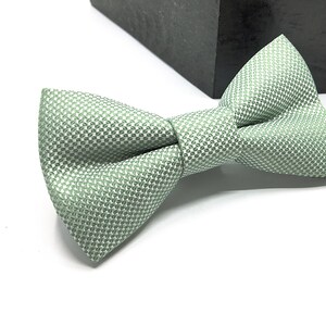 Op de afbeelding: Een saliegroene vlinderdas met een fijn, herhalend geometrisch weefpatroon. Het accessoire heeft een gestructureerde, voorgeknoopte vorm met een centraal knoopdetail en een textieloppervlak dat een subtiel lichtreflecterend effect geeft.