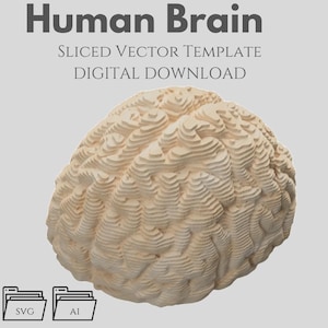 Human Brain - Sliced Vector Template, Parametric, Multilayer Laser Cut File (DXF, SVG, AI)