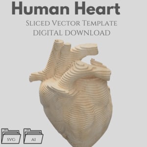 Menschliches Herz - geschnittene Vektorvorlage, Parametrisch, Mehrschichtige Laserschnittdatei (DXF, SVG, AI)