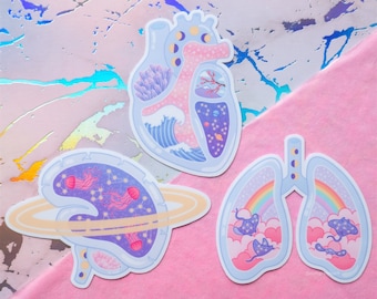 Aesthetic Organs Sticker Set | Heart, Brain, Lungs, Anatomy Stickers, Cute Sticker Bundle, Glossy Vinyl Stickers, Waterproof Sticker Pack