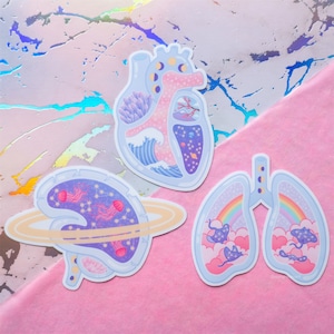 Aesthetic Organs Sticker Set | Heart, Brain, Lungs, Anatomy Stickers, Cute Sticker Bundle, Glossy Vinyl Stickers, Waterproof Sticker Pack