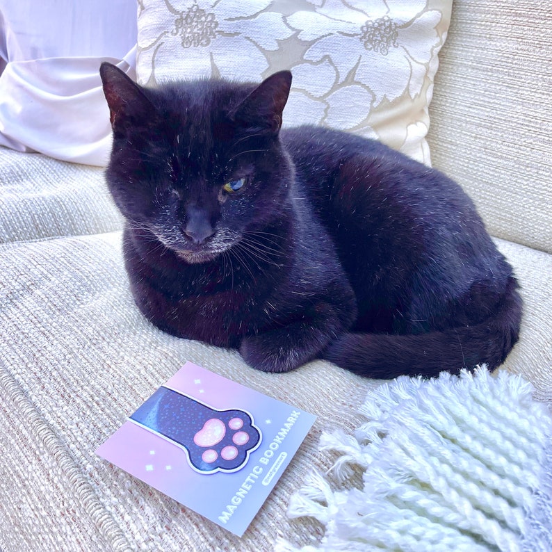 May include: A black cat with one blue eye is lying on a light gray couch. A pink and blue paw-shaped magnetic bookmark is on the couch in front of the cat. The bookmark has a sparkly design and the words "Magnetic Bookmark" printed on it.