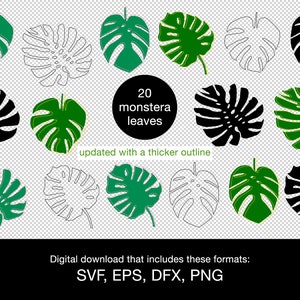 Monstera leaf svg png eps dxf bundle