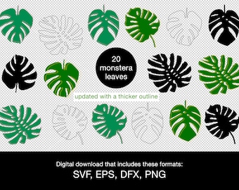Monstera leaf svg png eps dxf bundle