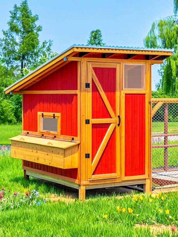 DIY Chicken Coop Plans for 12 Chickens – Easy-Clean Walk-In Coop & Secure Run | Instant PDF Download