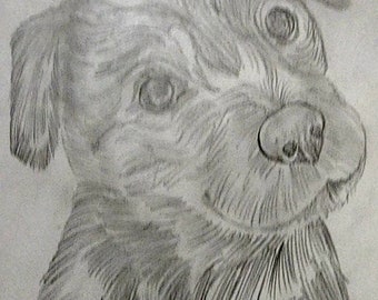 Original Sketch Of Puppy In 8.5"x11" Paper Framed In Paper Picture Frames