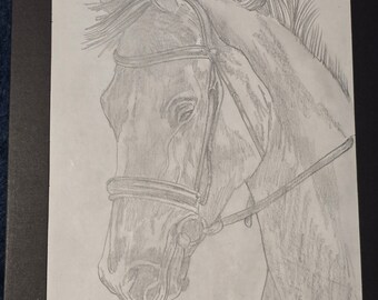 Original Sketch Of Horse In 8.5"x11" Paper Framed In Paper Picture Frames