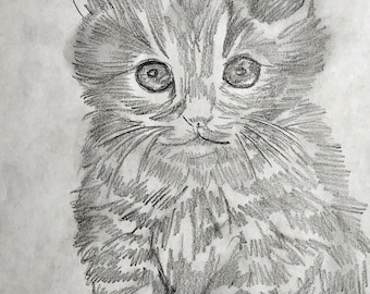 Original Sketch Of Kitten In 8.5"x11" Paper Framed In Paper Picture Frames