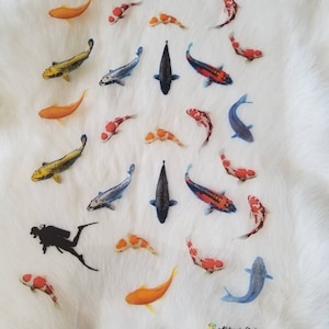 Op de afbeelding: Een witte achtergrond met een silhouet van een duiker en meerdere kleurrijke koi-vissen. De vissen zijn in verschillende maten en posities, sommige zwemmen omhoog en andere zwemmen omlaag. De vissen zijn rood, oranje, geel, blauw en zwart.