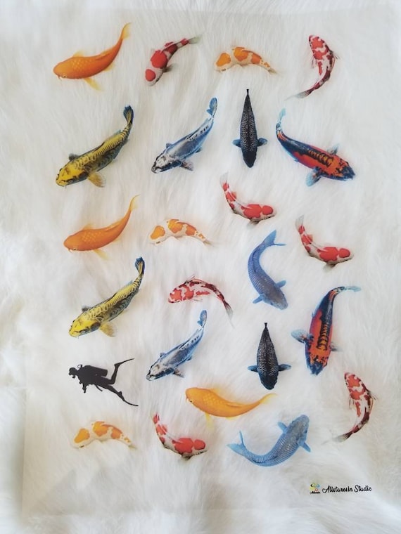 art resin for fishing lures 3D Goldfish Resin Art Sheets – Epoxy Craft Supplies (50MM)