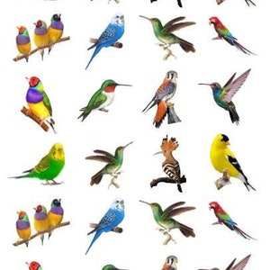 Custom 3D Birds Sheets (40MM) - Epoxy Resin Filler - 24 PCS - Epoxy Resin Art - Transparent Film -Resin Inclusion - 3D art - gifts - supply