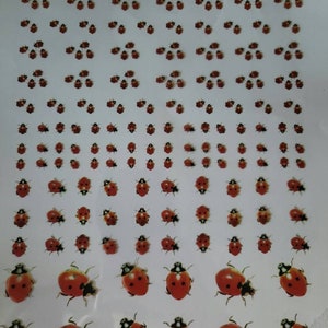 "Coccinelle" 3D Carta trasparente, Arte in resina epossidica, Pellicola trasparente, Inclusione di resina, Pellicola trasparente trasparente, Arte 3D, Arte in resina, Resina 3D