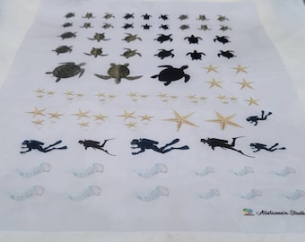 3D-harskunst zeedieren – schildpad, zeester, duikerfilm/stickers