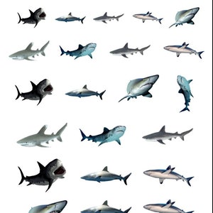 May include: A collection of 25 different shark illustrations in various poses and sizes. The sharks are all gray and white, with some having black markings. The illustrations are set against a white background.
