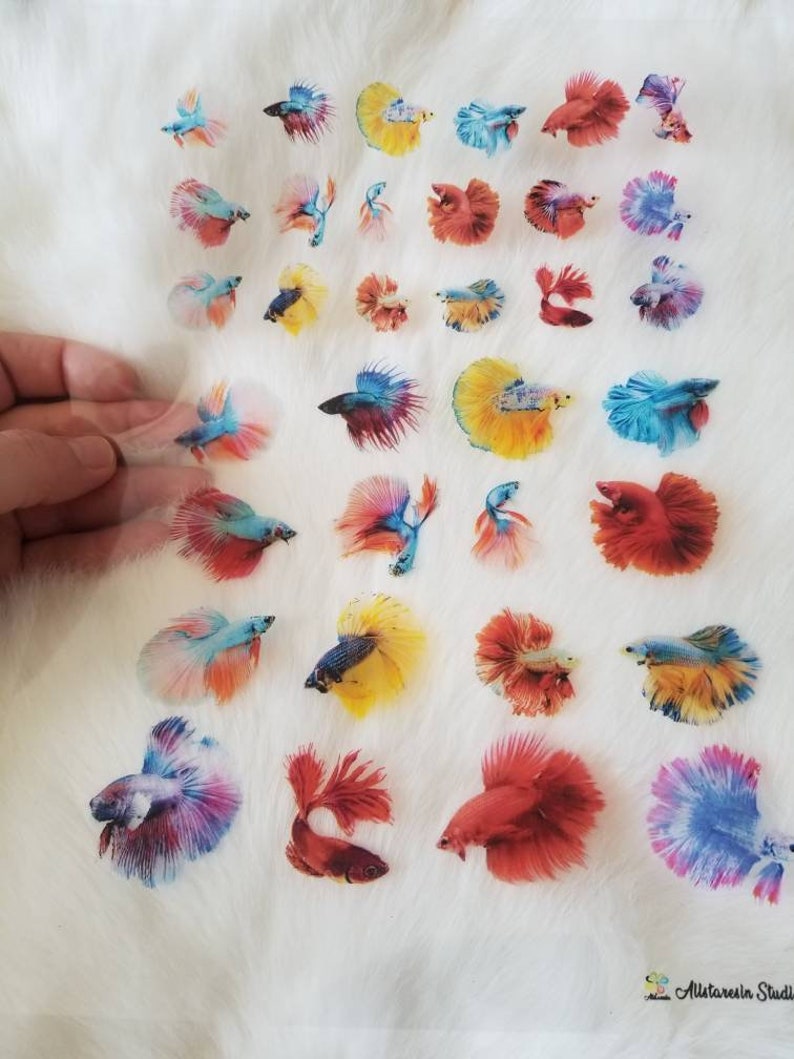 The 5 Best 3d Resin Fish Stickers of All Time 4