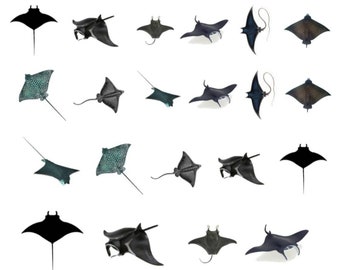 3D transparante film manta en adelaarsrog, uv-harskunststickers