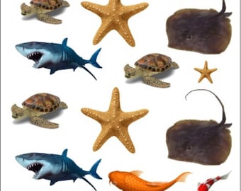 3D-kleurenschildpadden, zeesterren, roggen, haaien en vissen. Hars omvat: harsmal ambachten, harskunst, 3D, zeedieren, hars, cadeau, epoxy