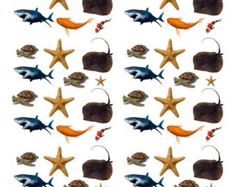 3D-kleurenschildpadden, zeesterren, roggen, haaien en vissen. Hars omvat: kunsthars, harskunst, 3D, zeedieren, hars, sieraden, cadeau