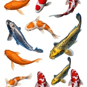 3D Fish (8-10CM) Clear Transparent Film,Goldfish and Fishman, Film UV Resin Art, Transparent Filling Material, Resin Inclusion,3D Resin Art
