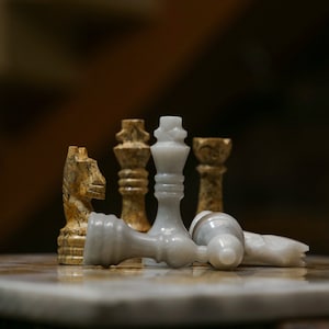 Handmade Marble Chess Pieces, Fossil & White Stone, Gift for Him