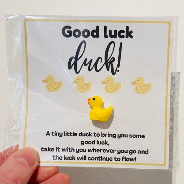 Good Luck Duck, Tiny Duck Bringing Luck, Lucky Duck Pocket Hug, Positivity Gift for Best Friend, Wishing You Luck, Motivation Letterbox Gift
