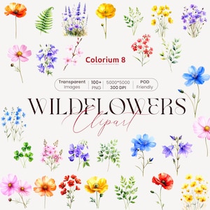 Colorful Wildflowers Clipart, Wild flower PNG, Watercolor Flowers, Colorful Bouquets, Floral Frames Clipart, Watercolor Flowers Elements