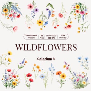 Wildflowers Clipart, Wild flower PNG, Watercolor Summer Flowers, Colorful Bouquets, Floral Frames Clipart, Watercolor Flowers Elements PNG