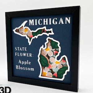 3D MICHIGAN SVG - Apple Blossom svg - pour cricut - pour la silhouette