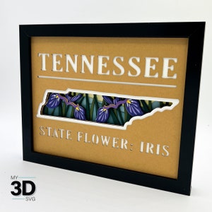 3D TENNESSEE Shadow Box SVG - voor cricut - voor silhouet
