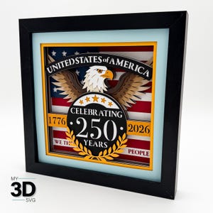 May include: A framed 3D layered art piece with a black frame. The artwork features the American flag, an eagle, and text that reads "UNITED STATES OF AMERICA" and "CELEBRATING 250 YEARS". The piece is a patriotic design.