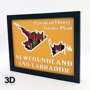 3D TERRE-NEUVE-et-Labrador SVG - pichet plante svg - Shadow box svg pour cricut - pour silhouette