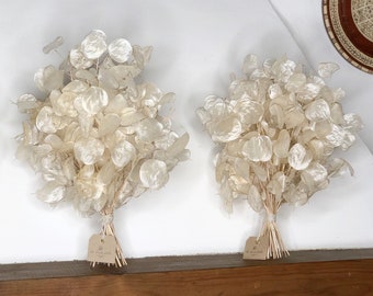 Dried Lunaria Bouquet, Natural Silver Dollar Plant, Fall Wedding Decor