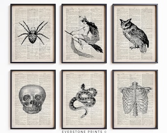 Set of 6 Vintage Halloween Prints | Halloween Wall Art | Spooky Print | Skeleton Wall Art | Halloween Printable | Printable Art