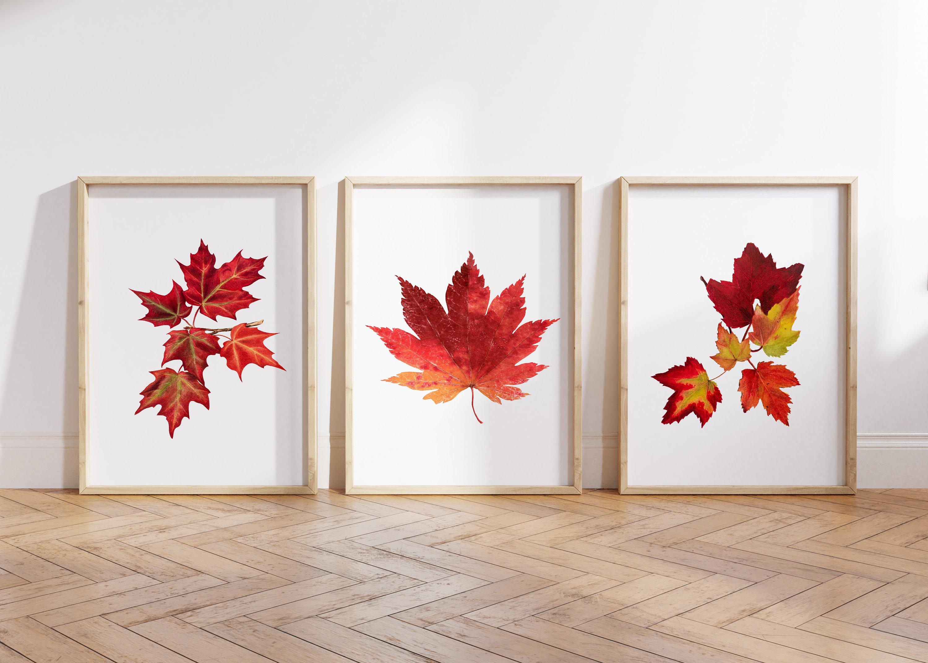 Fall Leaves Set of 3 | Leaves Fall Printable Art, Fall Wall Art, Fall ...