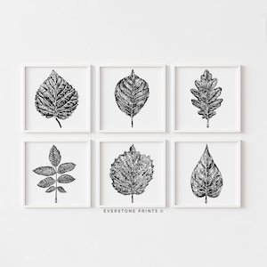 Leaves Sketch Art | Botanical Drawing Art, Autumn Leaves, Fall Decor, Thanksgiving Printable, Nature Leaf Line Art, Minimalist Art