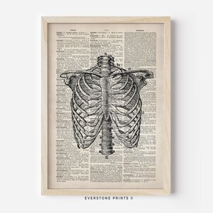 Halloween Skeleton Torso | Vintage Halloween Art | Halloween Wall Art | Antique Halloween | Halloween Printable | Digital Prints
