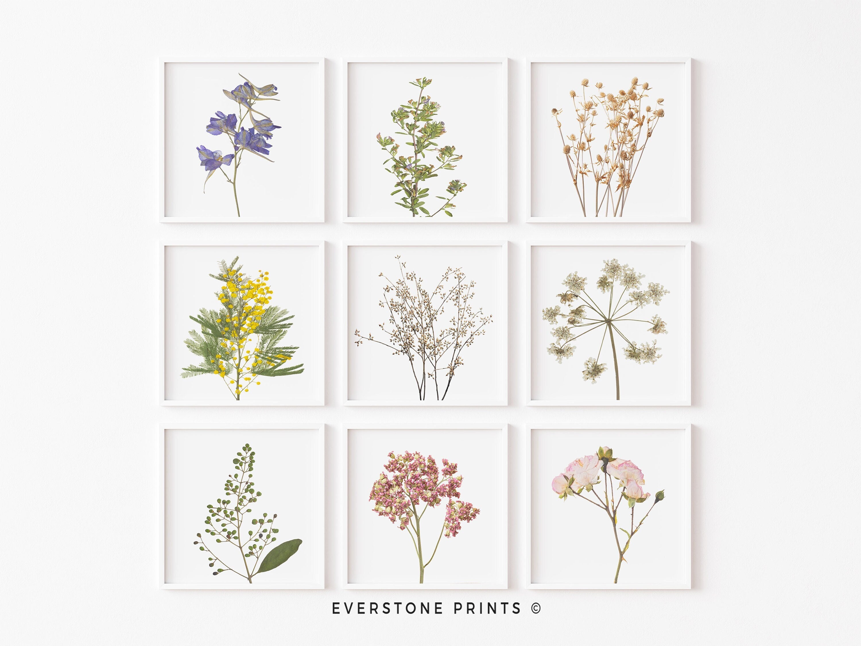 Set of 9 Botanical Prints | Botanical Wall Art, Square Prints, Poster ...