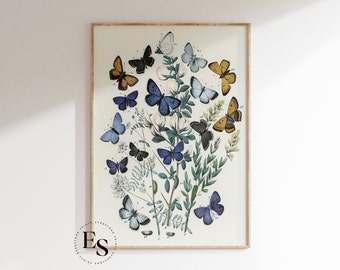 Vintage Butterfly Art Print | Butterfly Wall, Butterfly Illustration, Insect Art, Vintage Gallery Print, Printable Art