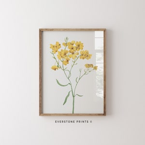 May include: A framed botanical print featuring a single stem of yellow flowers with green leaves. The print has a white background and is framed in a light brown wood frame. The text "EVERSTONE PRINTS &copy;" is printed below the image.