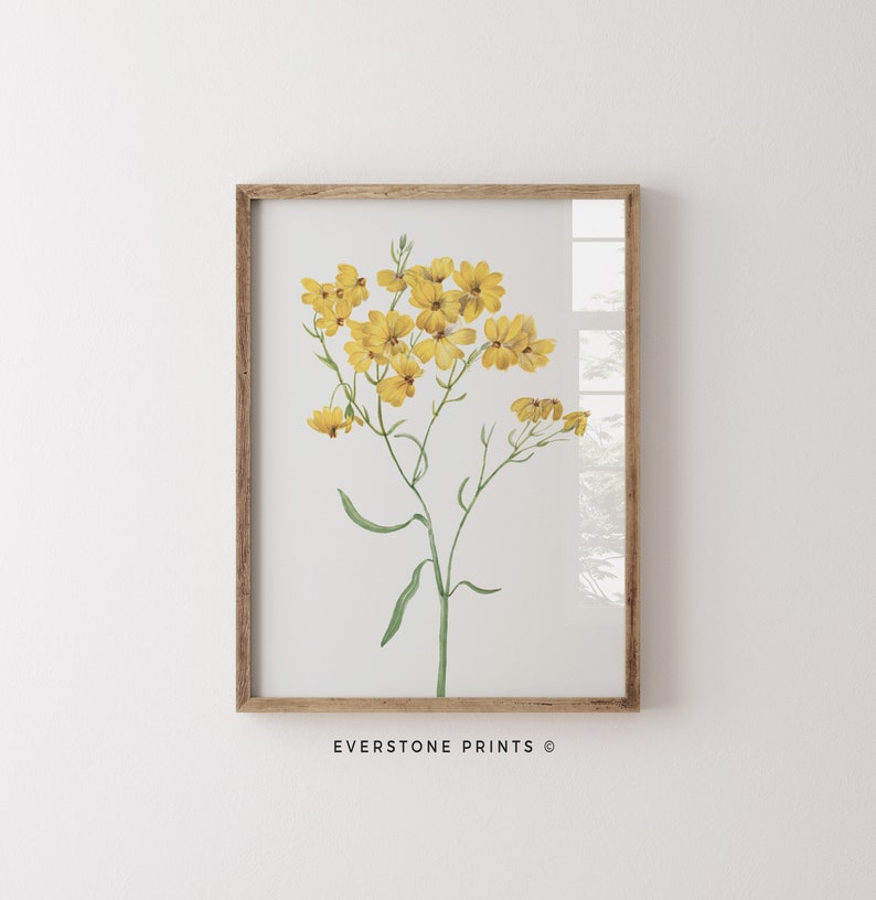 May include: A framed botanical print featuring a single stem of yellow flowers with green leaves. The print has a white background and is framed in a light brown wood frame. The text "EVERSTONE PRINTS &copy;" is printed below the image.