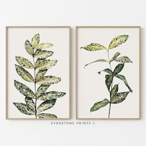 2er Set Pflanzendrucke | Pflanzendrucke, Botanische Poster, Pflanzen Kunst, Wohnzimmer Kunst, Bauernhaus Wand-Dekor, druckbare Kunst