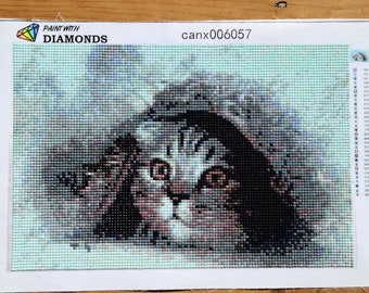 Scaredy Cat diamond painting