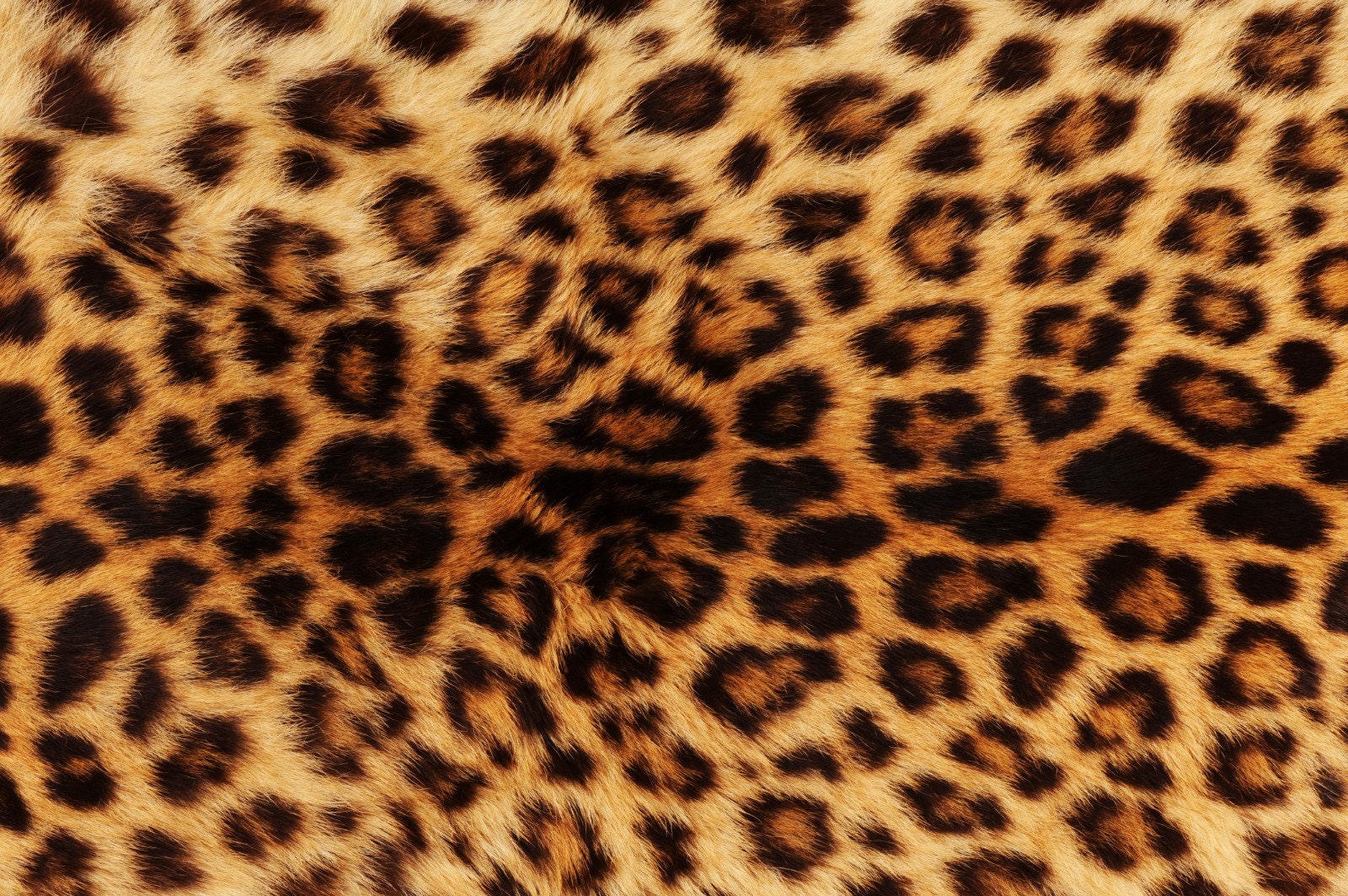 Animal Print Fabric - Etsy Animal Print Fabric - Etsy