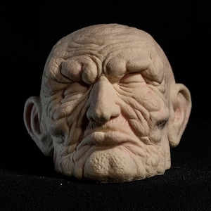 Mr. Rotman - Blank Cast - Corpse Head Sculpture - Horror Prop