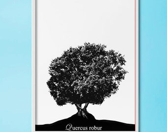 Oak tree,Beautiful prints,5 color options,Digital Print,Printable Wall Art,tree prints,Wall Decor,Digital Art,tree, North American tree