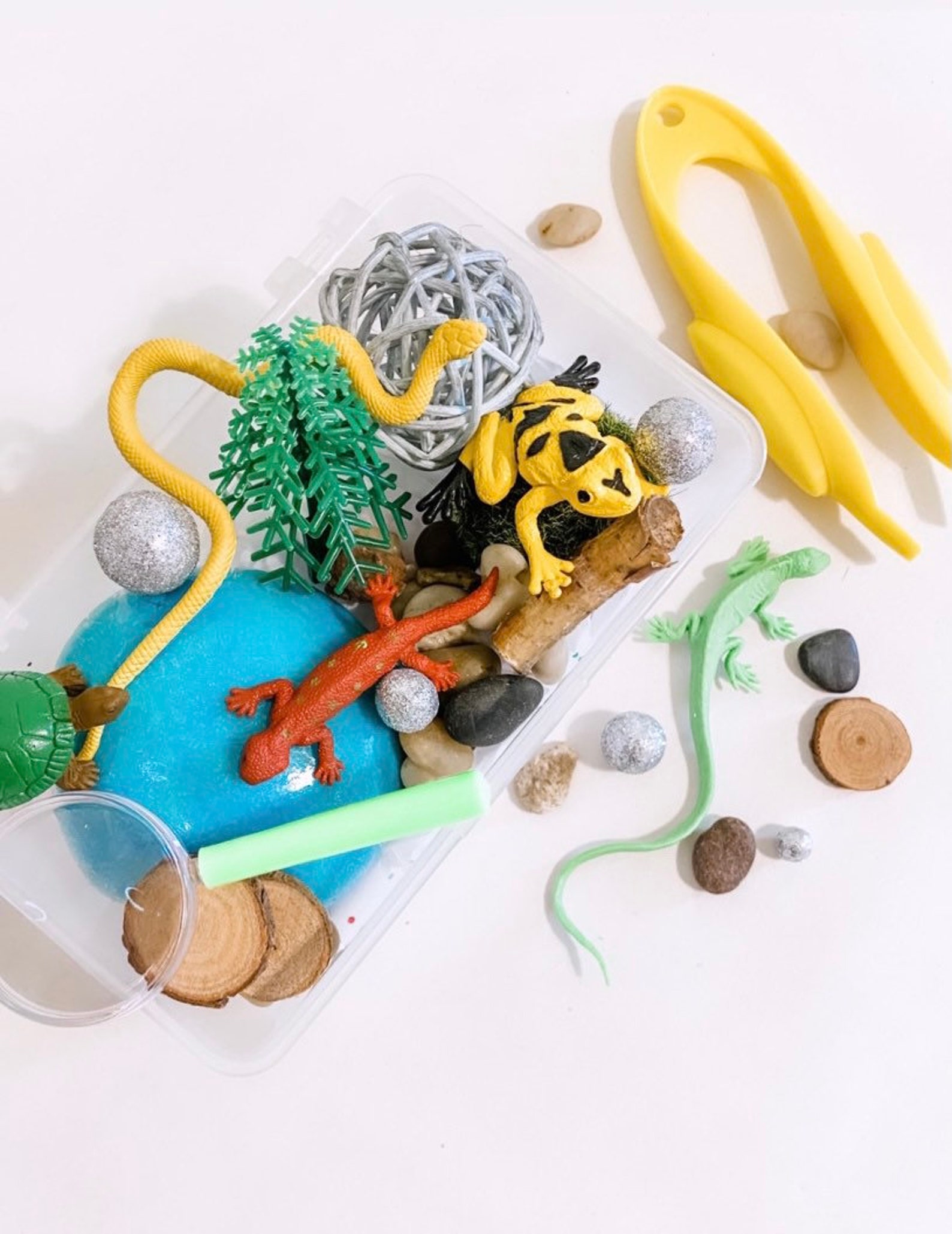 Reptile Play Dough Mini Kit Frogs and turtles sensory kit Etsy